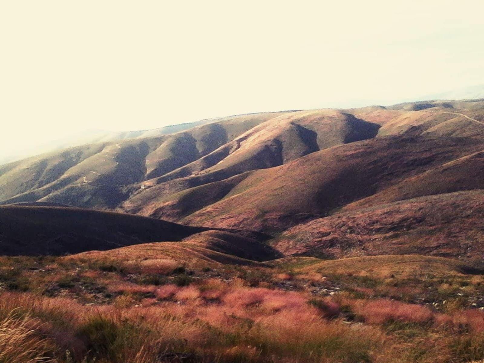 Da Garca Sao Pedro do Sul