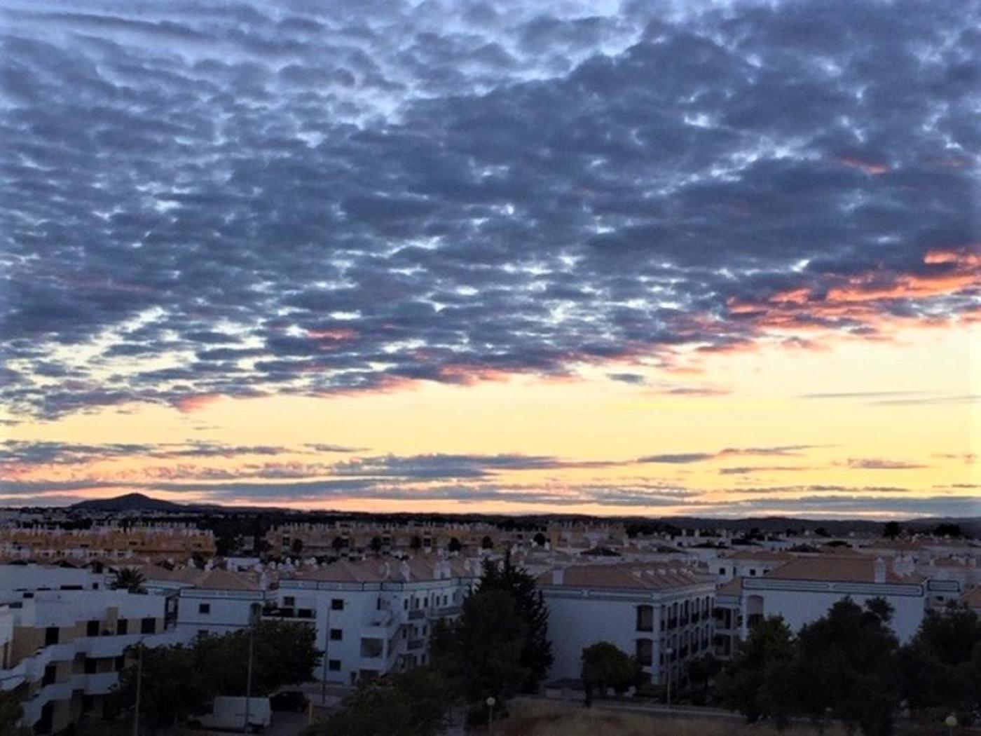 Apartment Markus Tavira