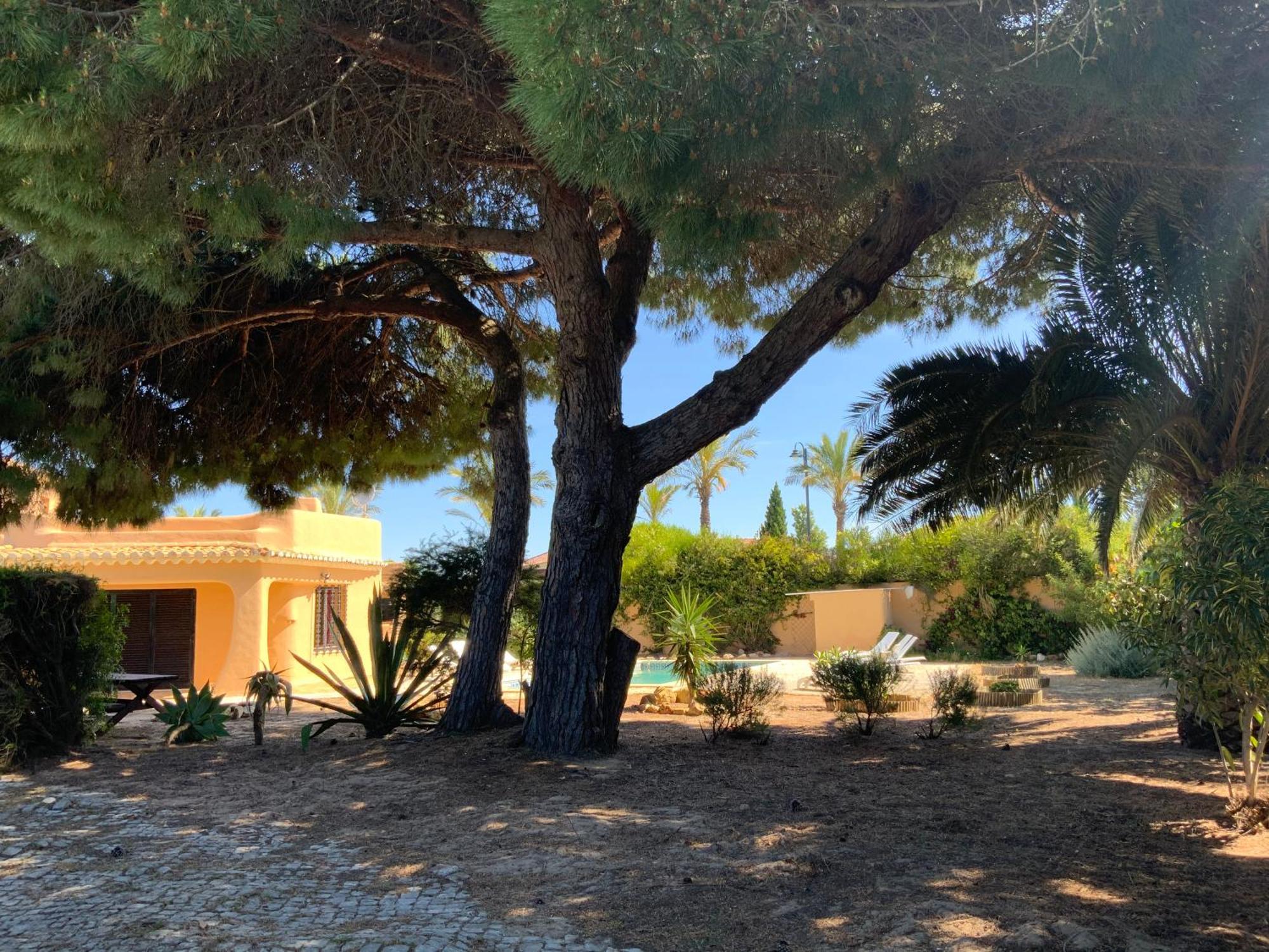 Casa Canavial Сasa de vacaciones