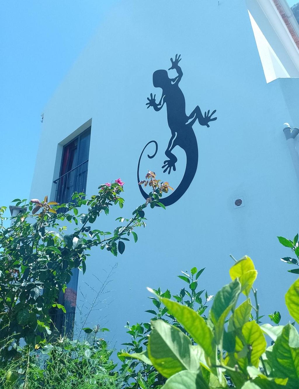 Lazy Lizard By The Ocean