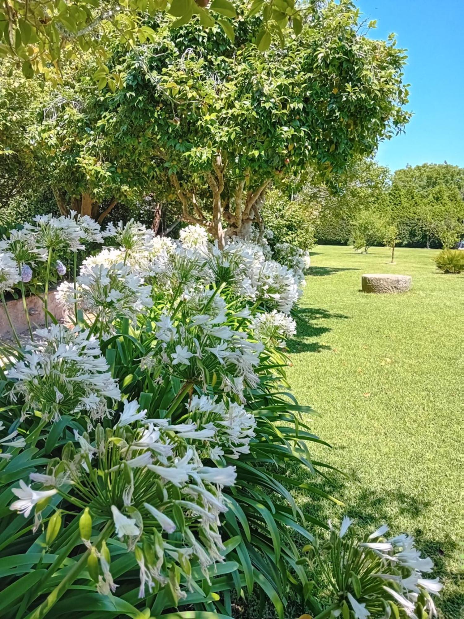 Casa Pita Holiday home
