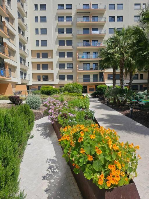 Apartment River Terrace & Pool View - Seixal *