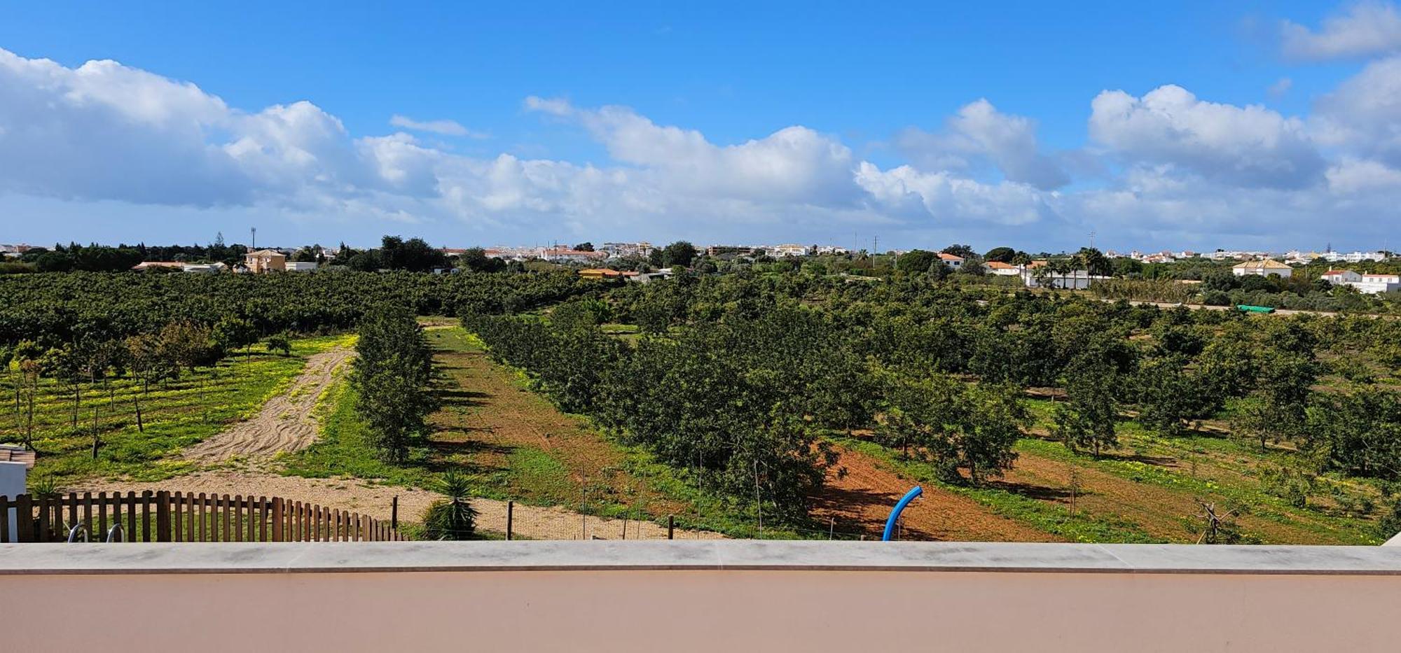Quinta Da Bornacha - Casa B E Casa C Apartment *