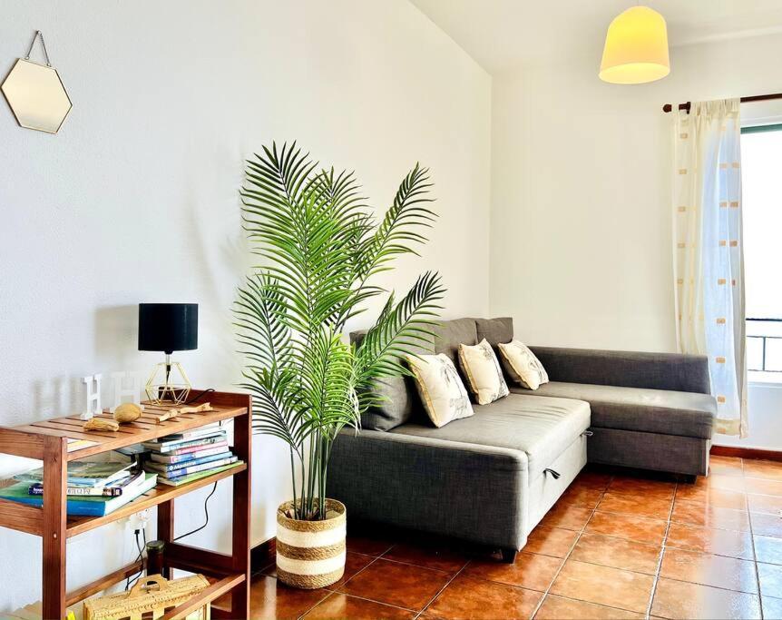 Apartment Apartment Paulo By Your Madeira Rentals
