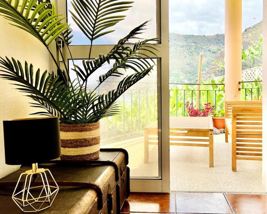 Apartment Paulo By Your Madeira Rentals Apartment Ponta do Sol (Madeira)