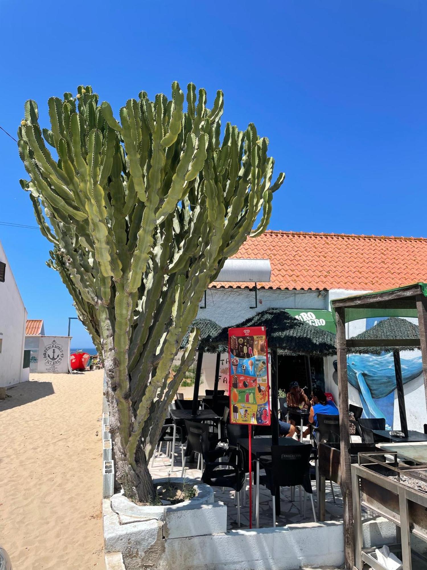 Apartamento Sea View & Sundown, 150m From The And Surf Spots Costa da Caparica