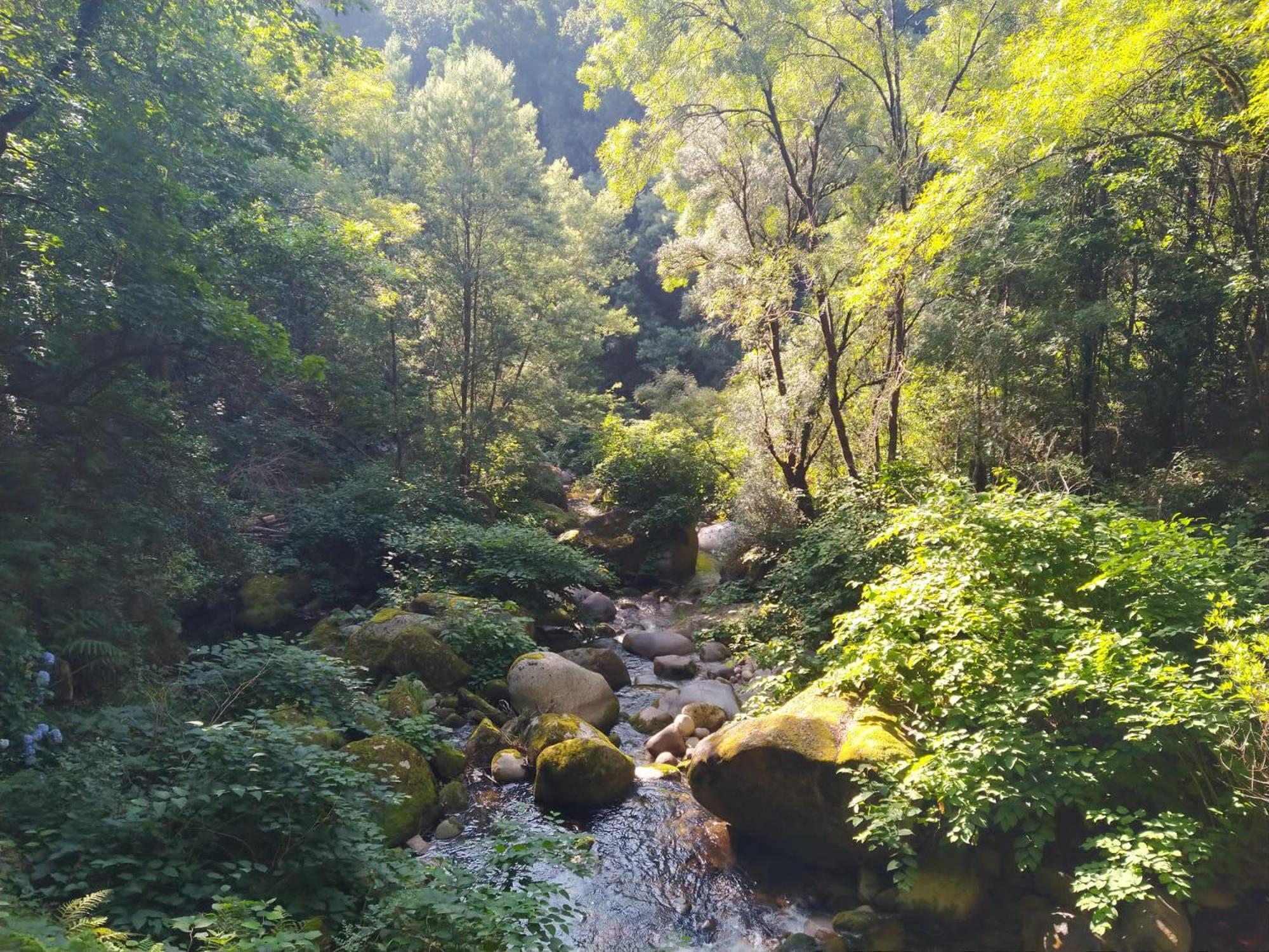 Camping Campismo Rural Vale Dos Moinhos Geres