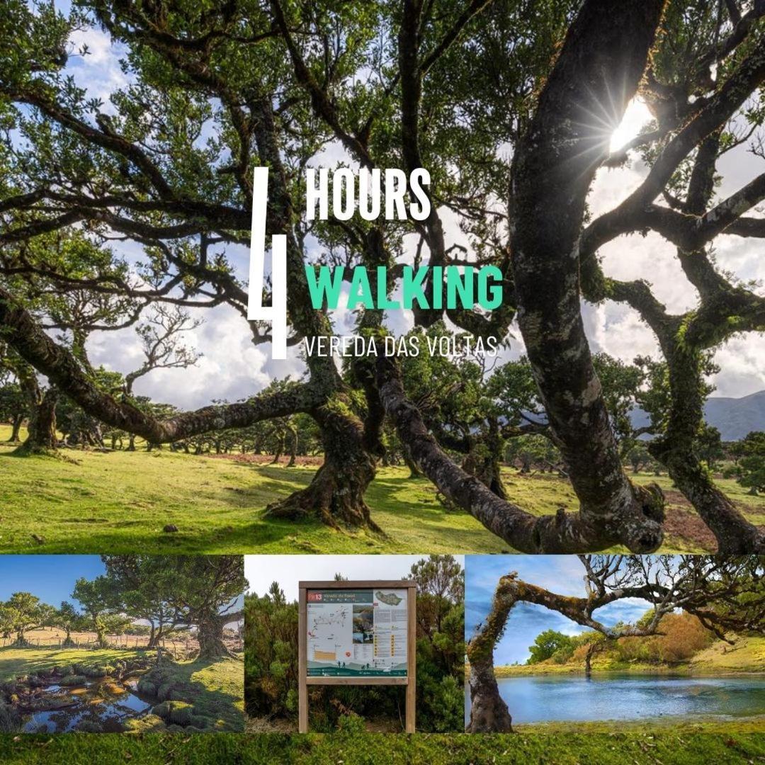 Nature Retreat - Laurel Forest Tenda de luxo