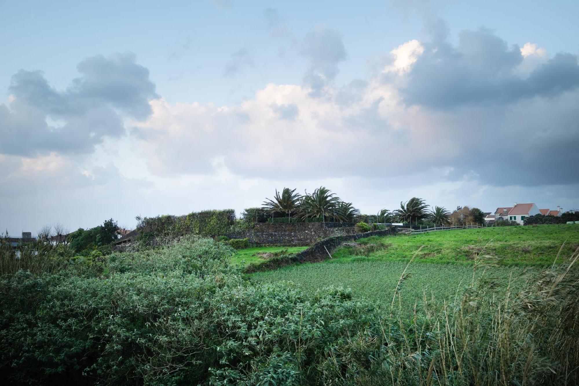 Maria Benta House Holiday home *