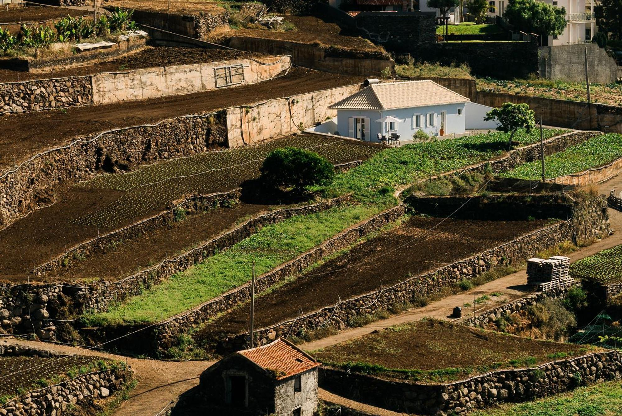 Holiday home Casa Ti'rosa Canico (Madeira)