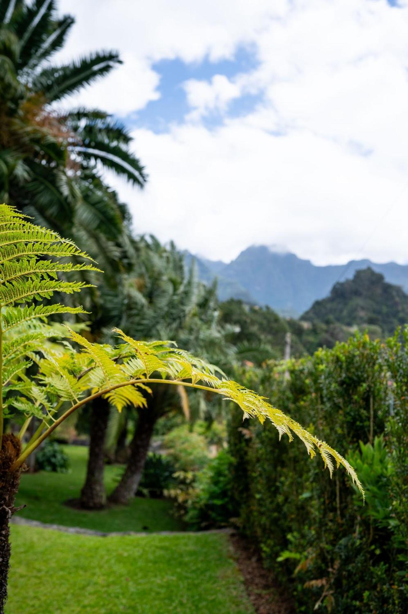 Guest house Casa Da Piedade Sao Vicente (Madeira)