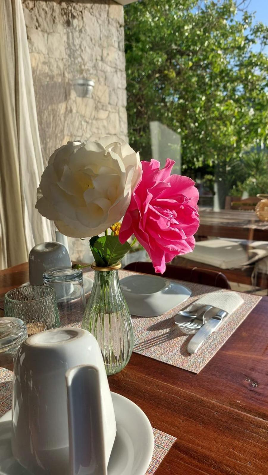 Bed & Breakfast Casa Boho - Turismo Rural Alvados