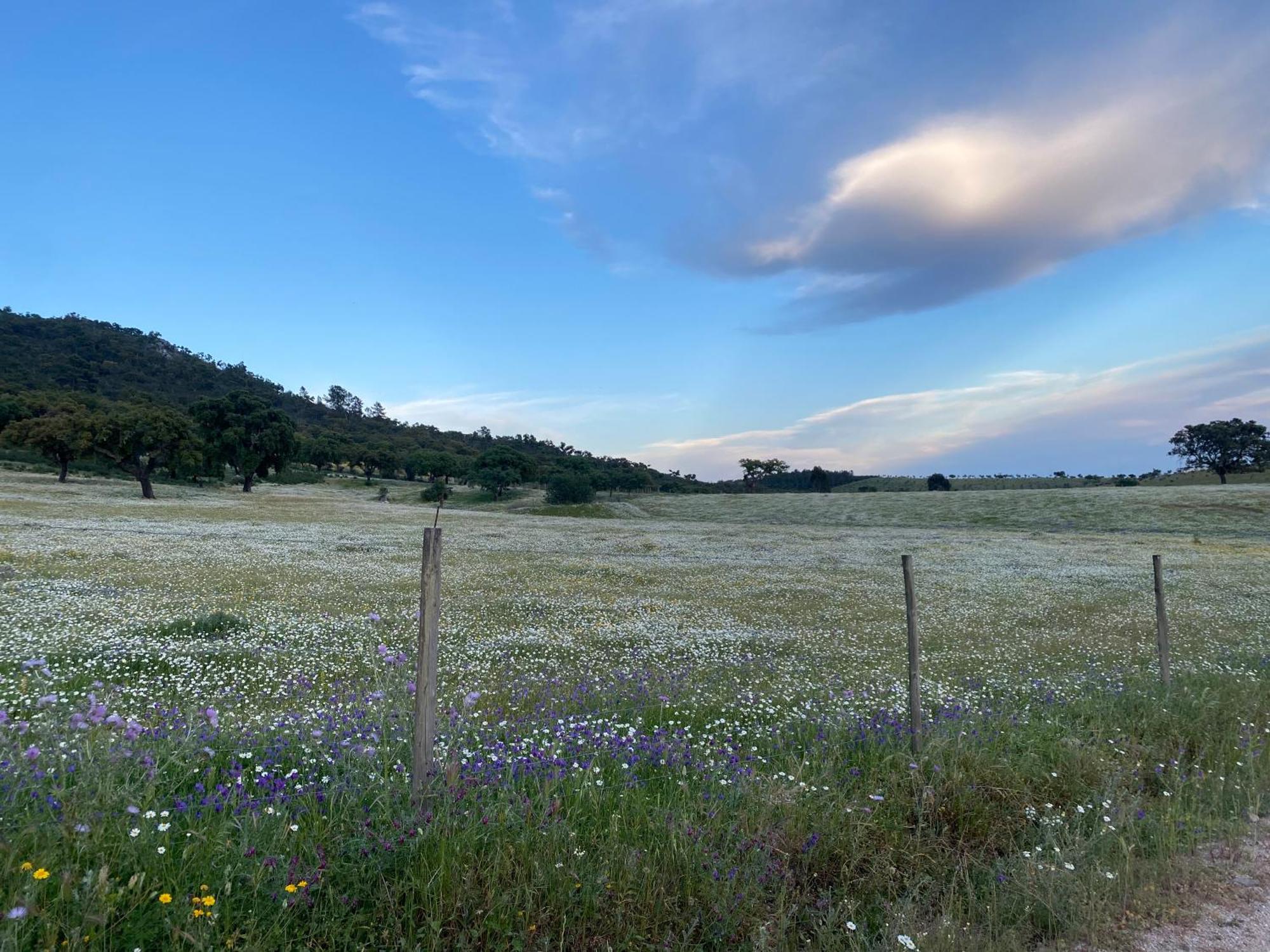 Monte Da Esperanca Agroturismo