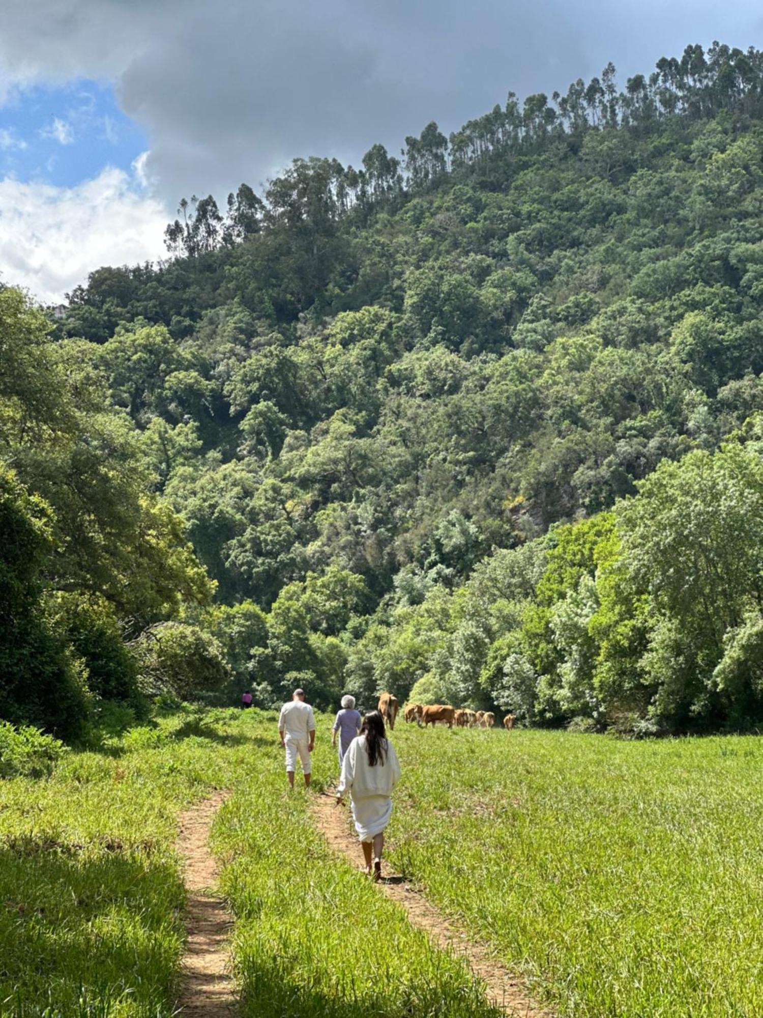 Farm stay Herdade Da Maceira *