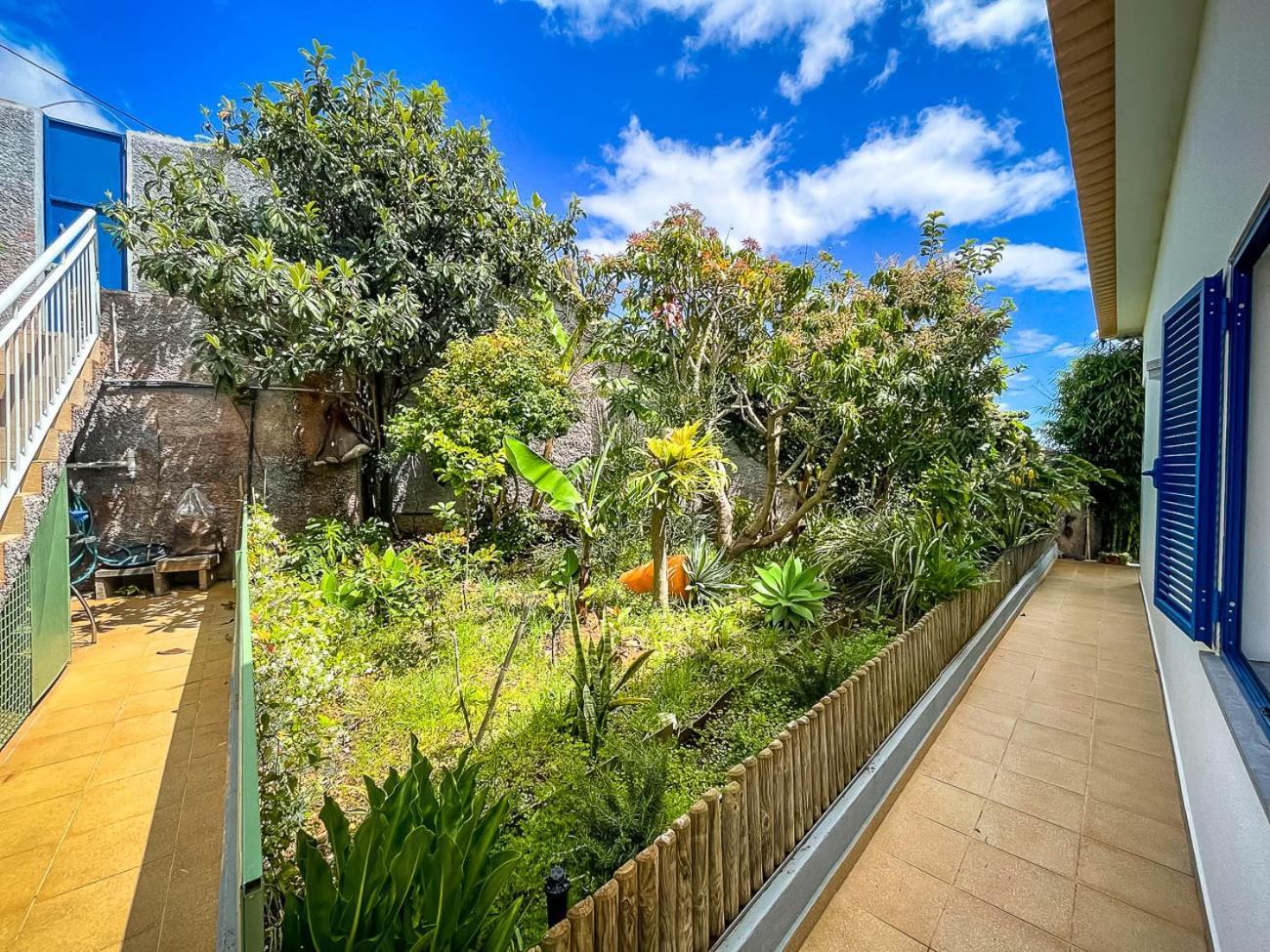 Indigo Star House Holiday home Ribeira Brava