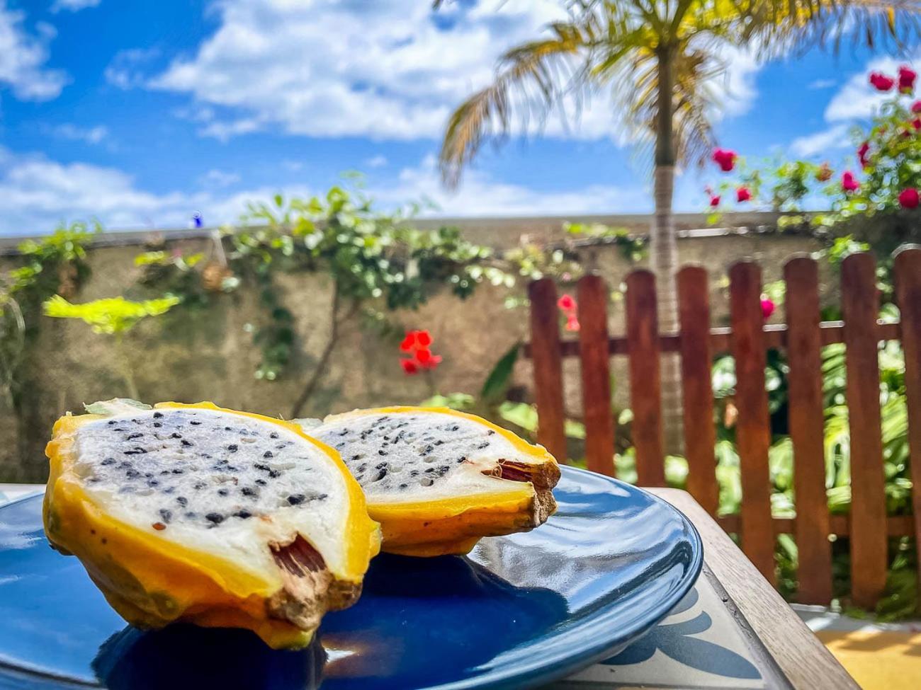 Indigo Star House Ribeira Brava