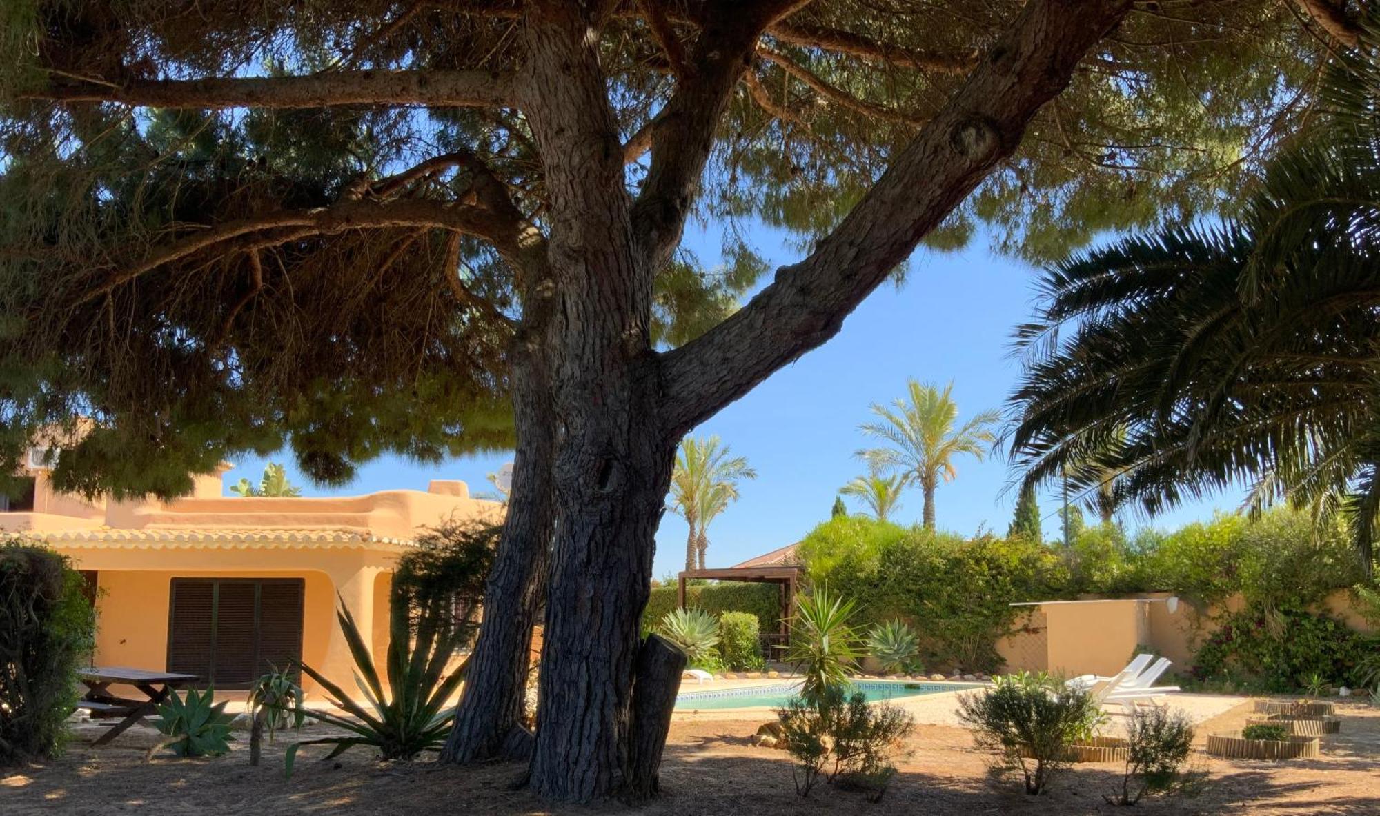 Casa Canavial Holiday home