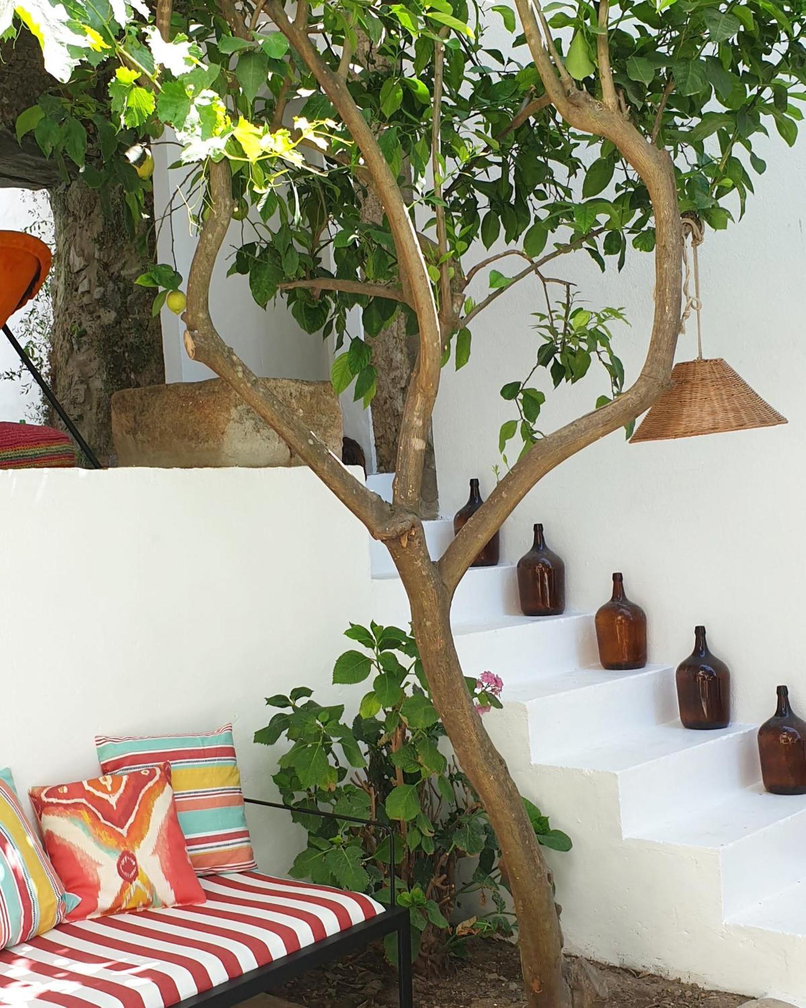 Guest house Casa Dos Bijos Castelo de Vide
