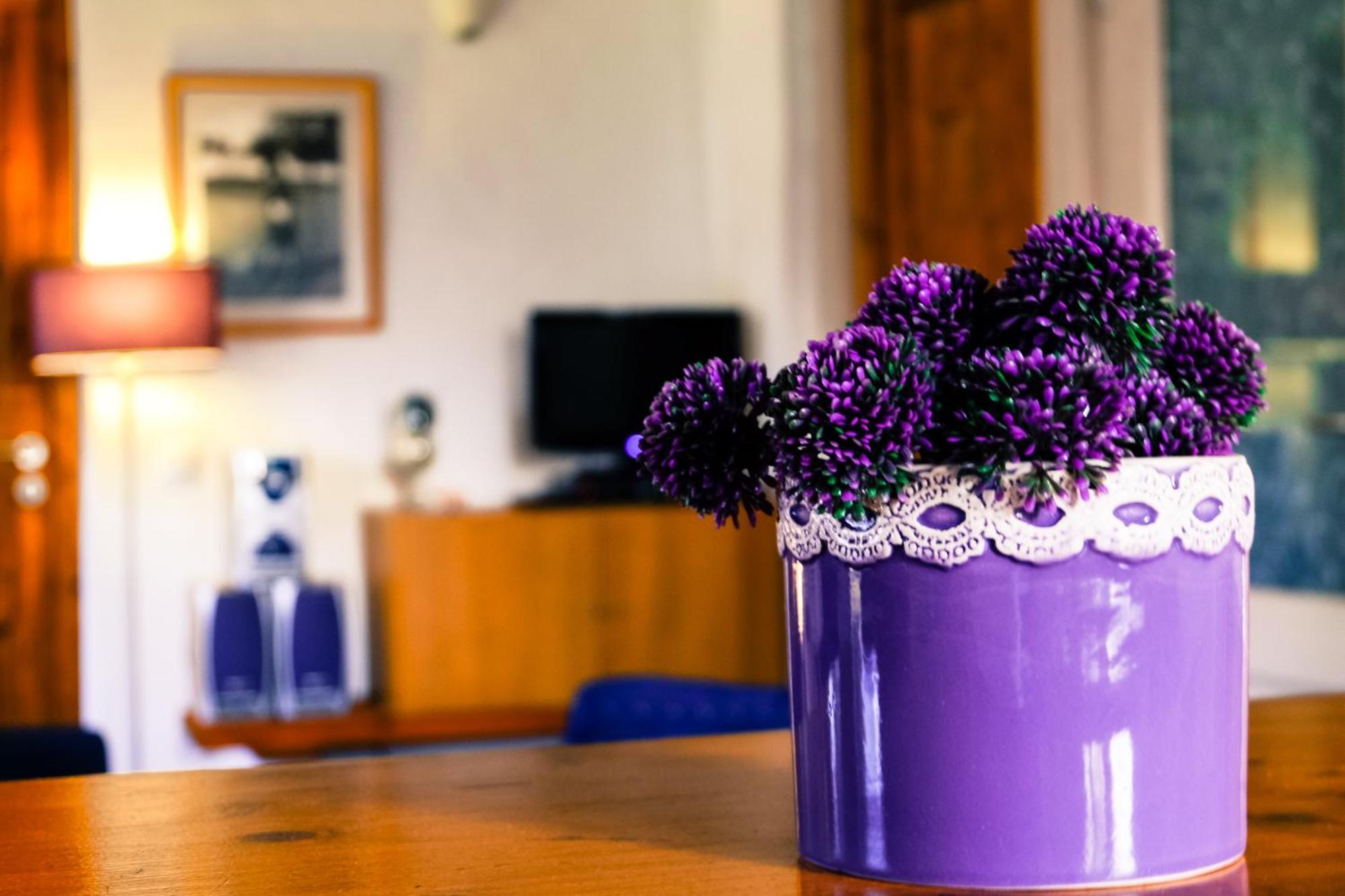 Quinta Dos Cochichos Farm stay