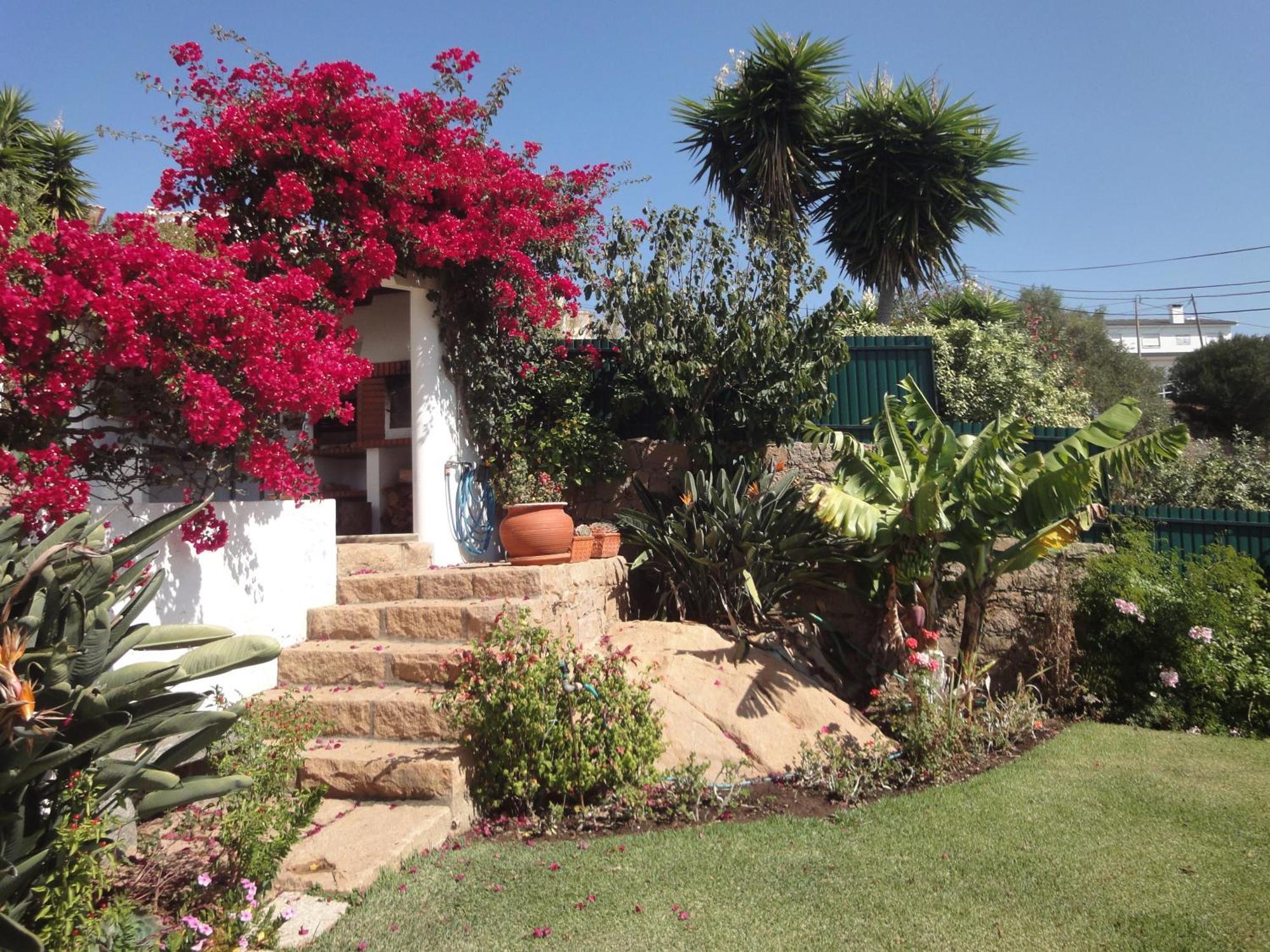 Orchidea Terrace * Malveira da Serra