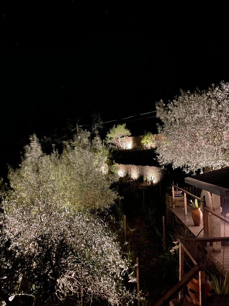 Casa Dos Barros Winery By Vintage Theory Agroturismo Sabrosa