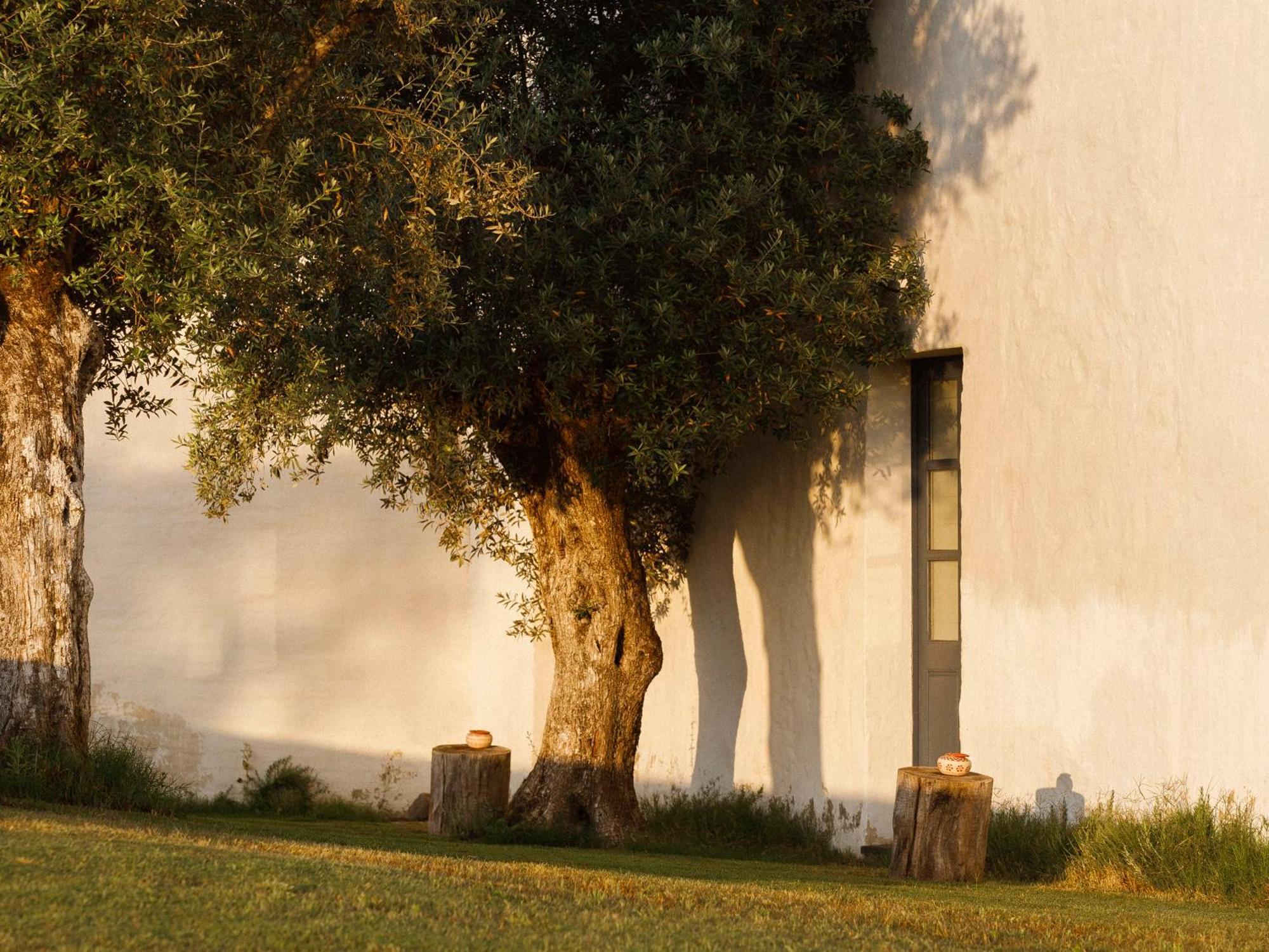Sao Lourenco Do Barrocal Hotel