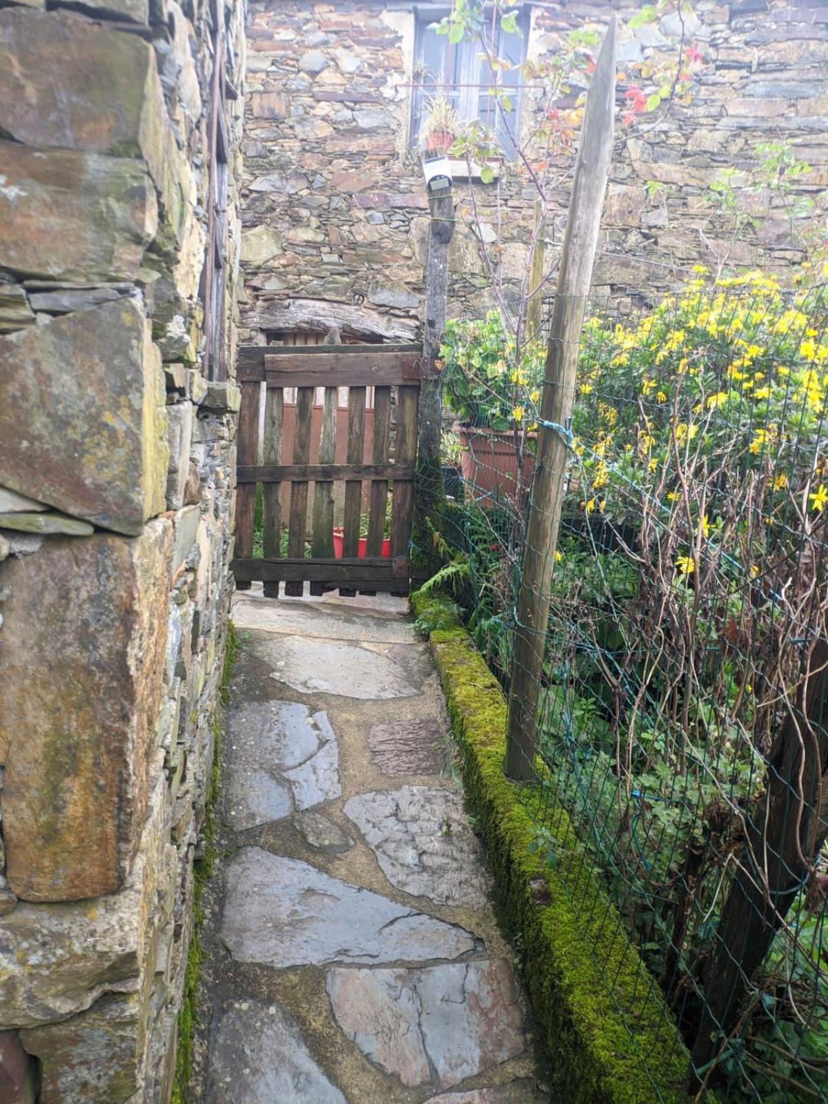 Casa Do Pastor Holiday home Lousa (Central Portugal)