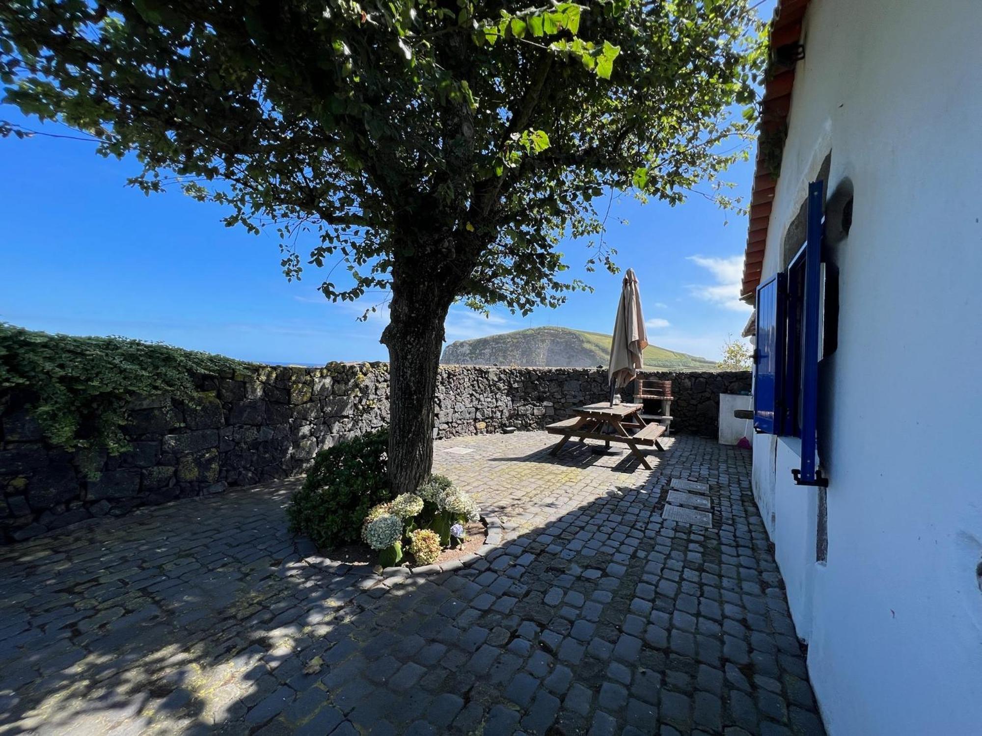 Vacas Felizes * Ribeira Grande
