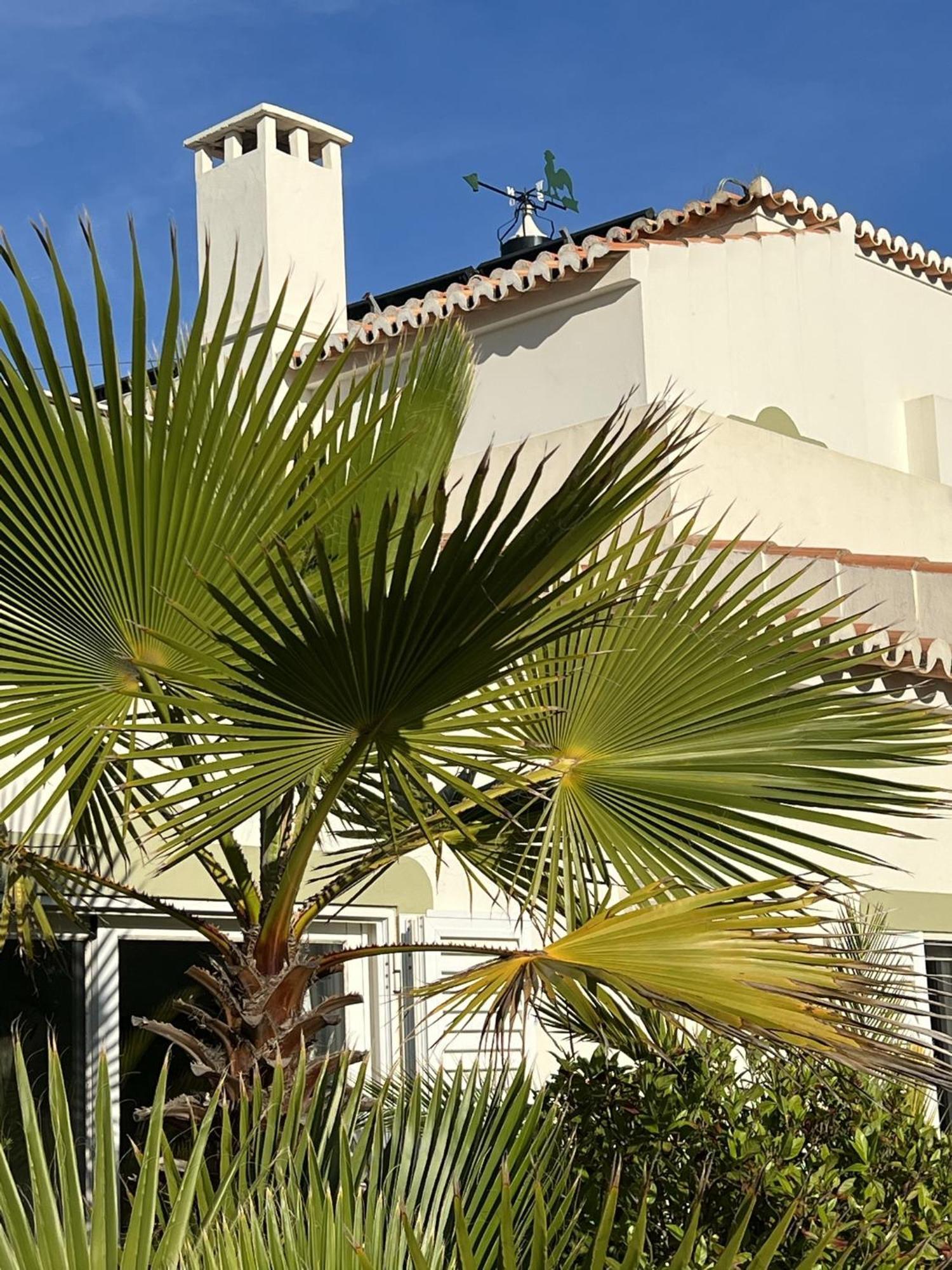 233 Casa Galo Apartment *