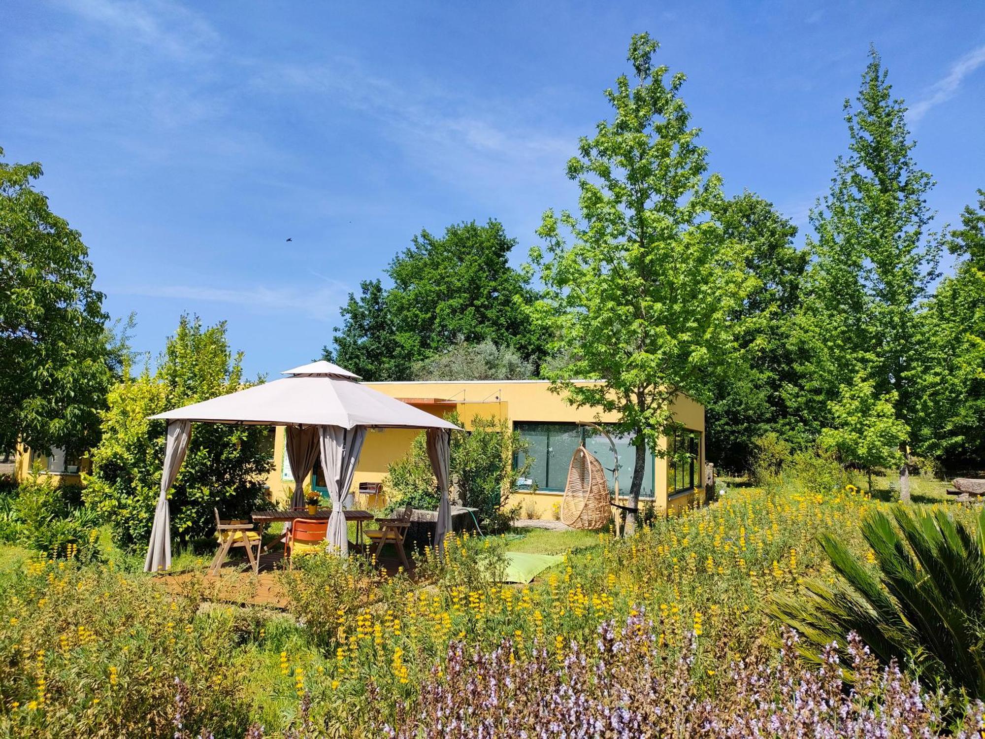 Farm stay Casa Das Palmeiras Mangualde