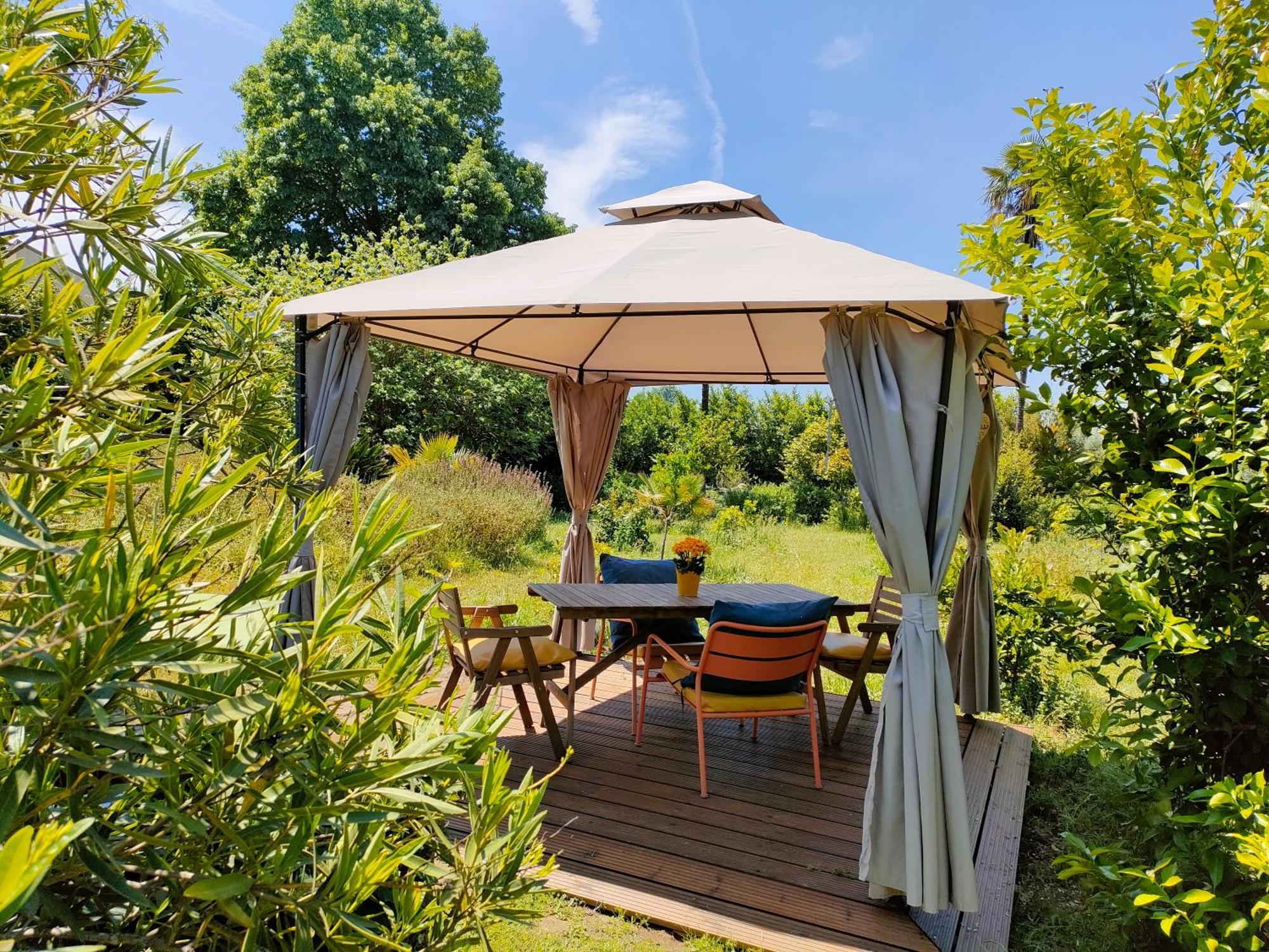 Farm stay Casa Das Palmeiras Mangualde