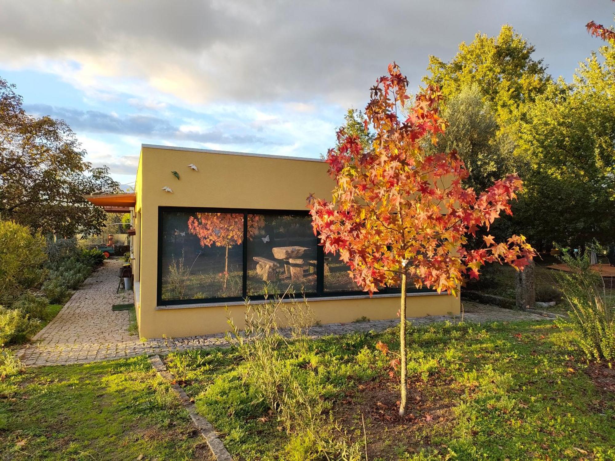 Farm stay Casa Das Palmeiras