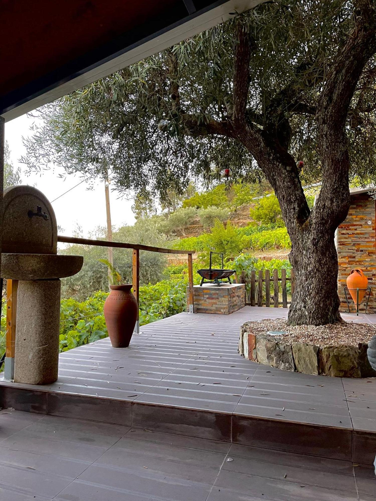 Casa Dos Barros Winery By Vintage Theory
