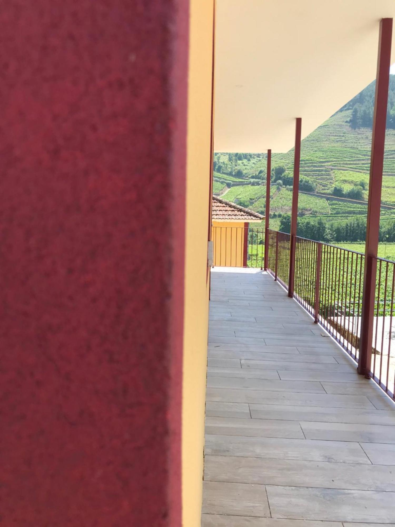 Solar Quinta Da Portela - Douro Country house