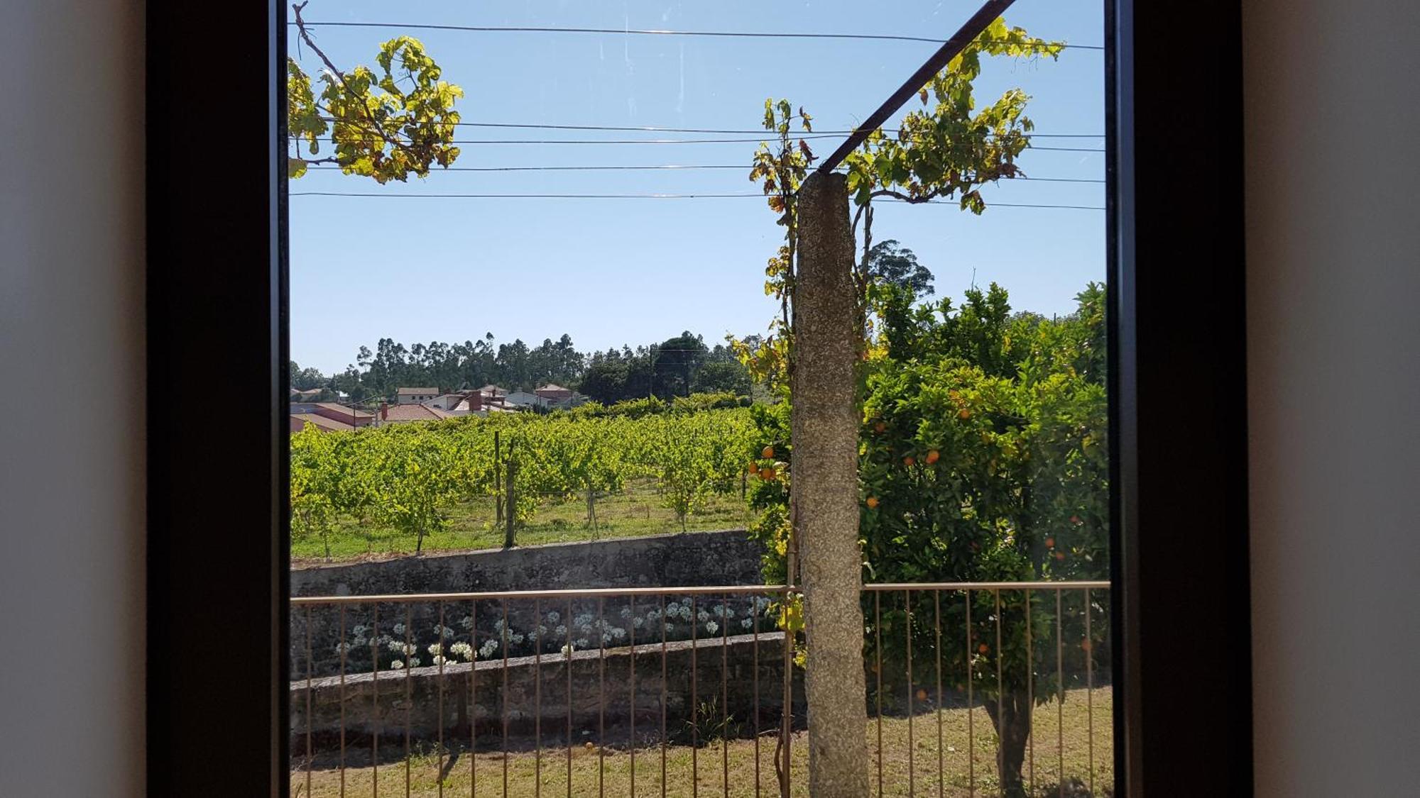 Casas Do Monte De Roques Farm stay