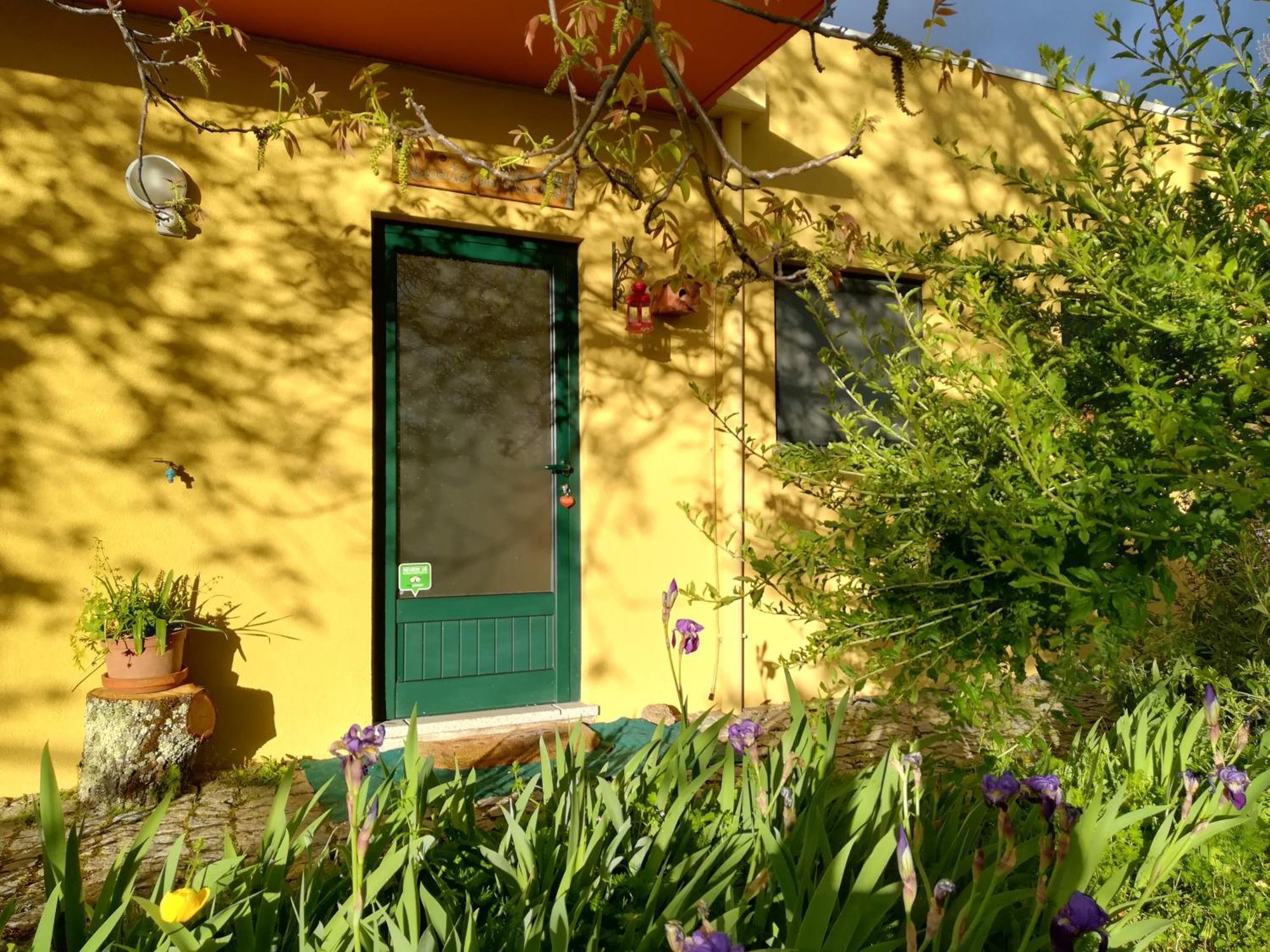 Casa Das Palmeiras Farm stay *