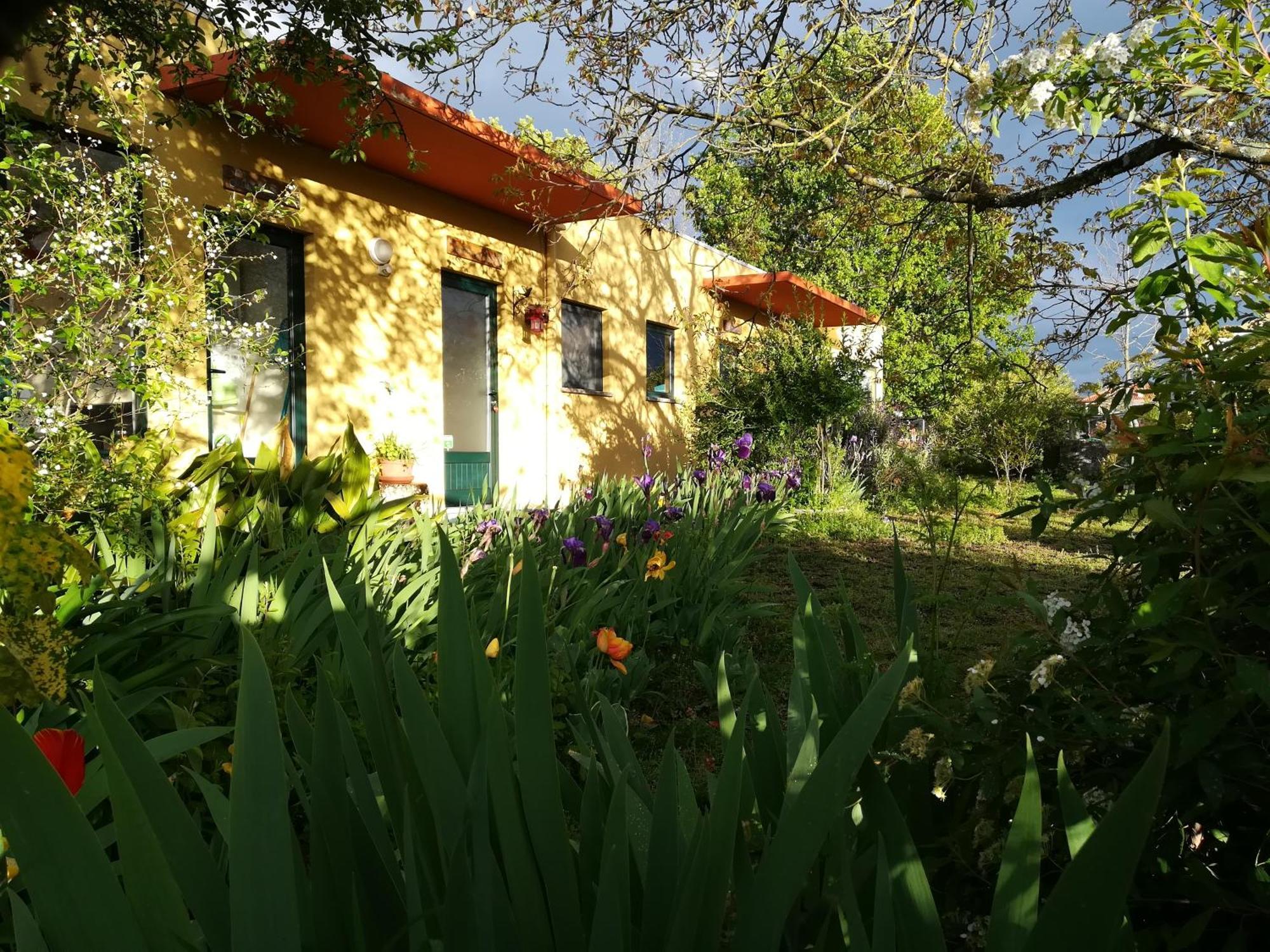Farm stay Casa Das Palmeiras