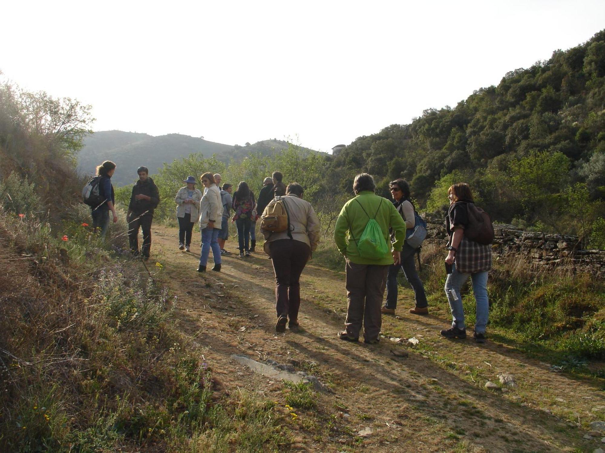 Country house Bairro Do Casal - Turismo D'aldeia
