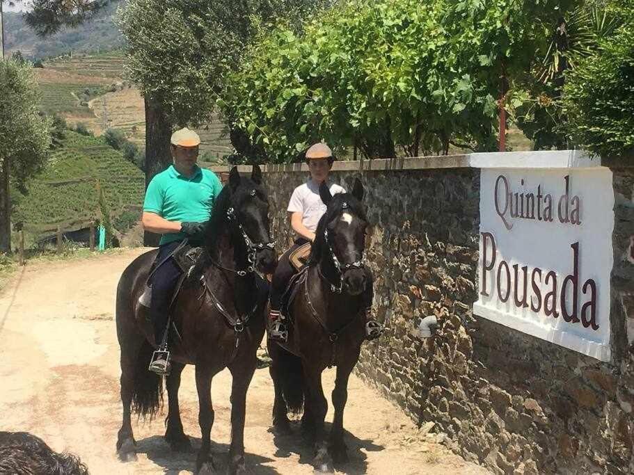 Farm stay Quinta Da Santa Marta de Penaguiao