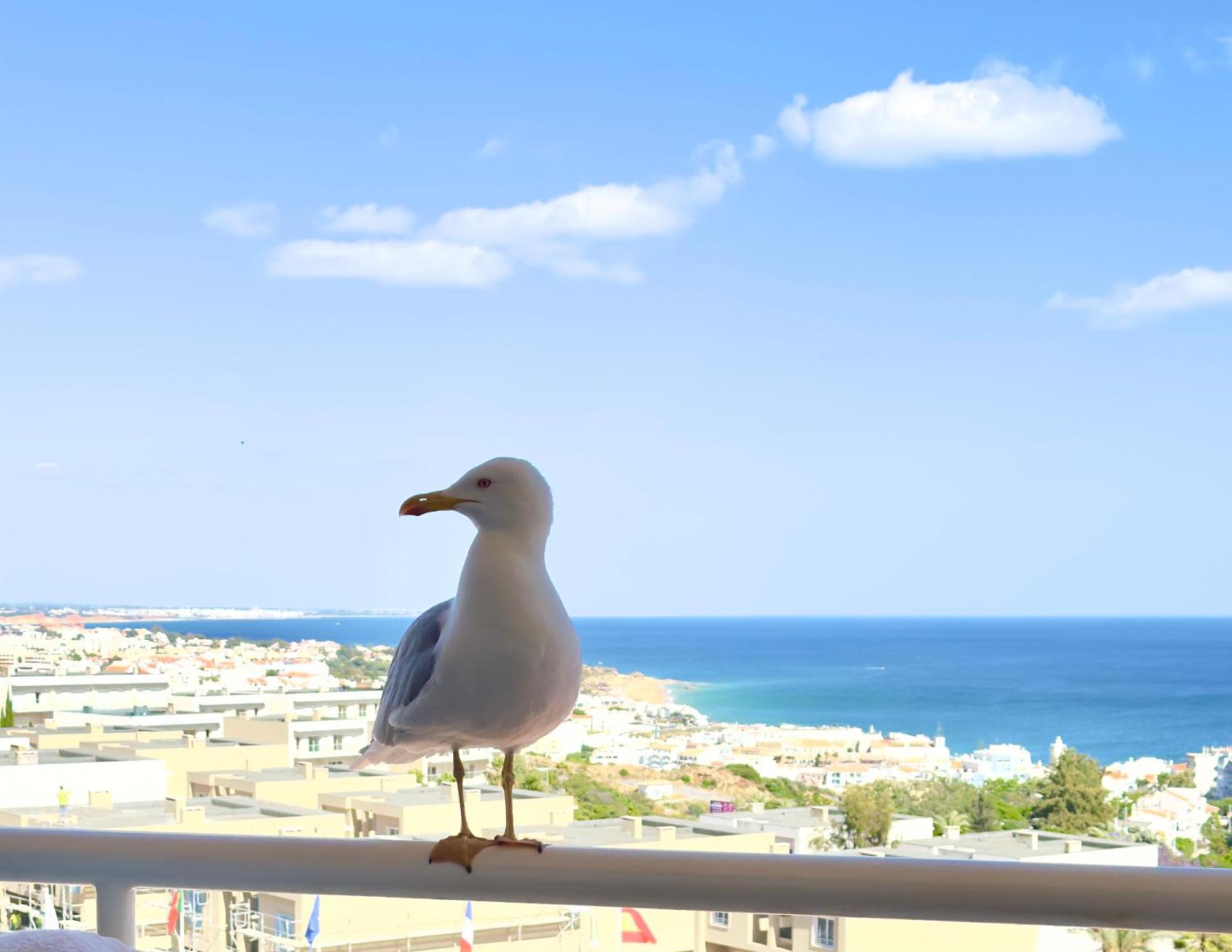 Apartment Les 3 Dauphins In *