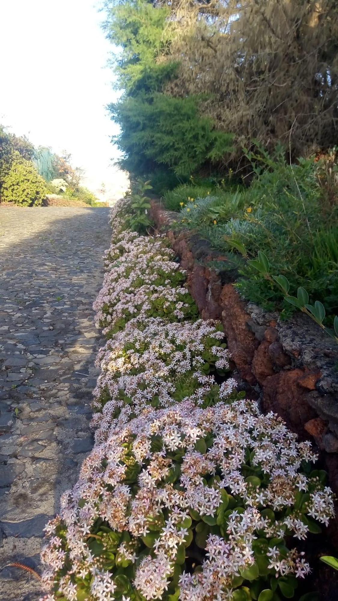 Biofuncho Garden Apartamento Funchal (Madeira)