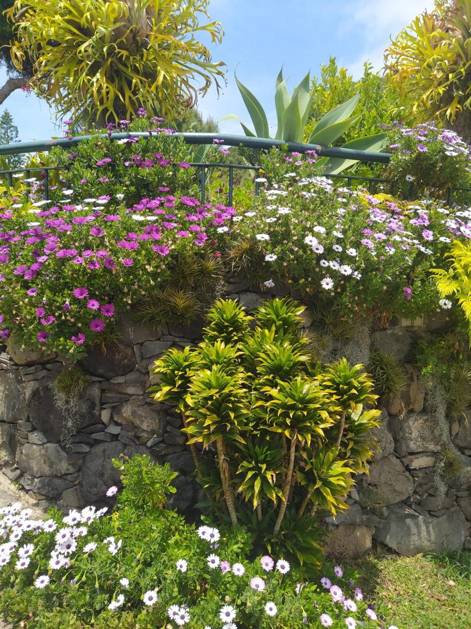 Biofuncho Garden Funchal (Madeira)
