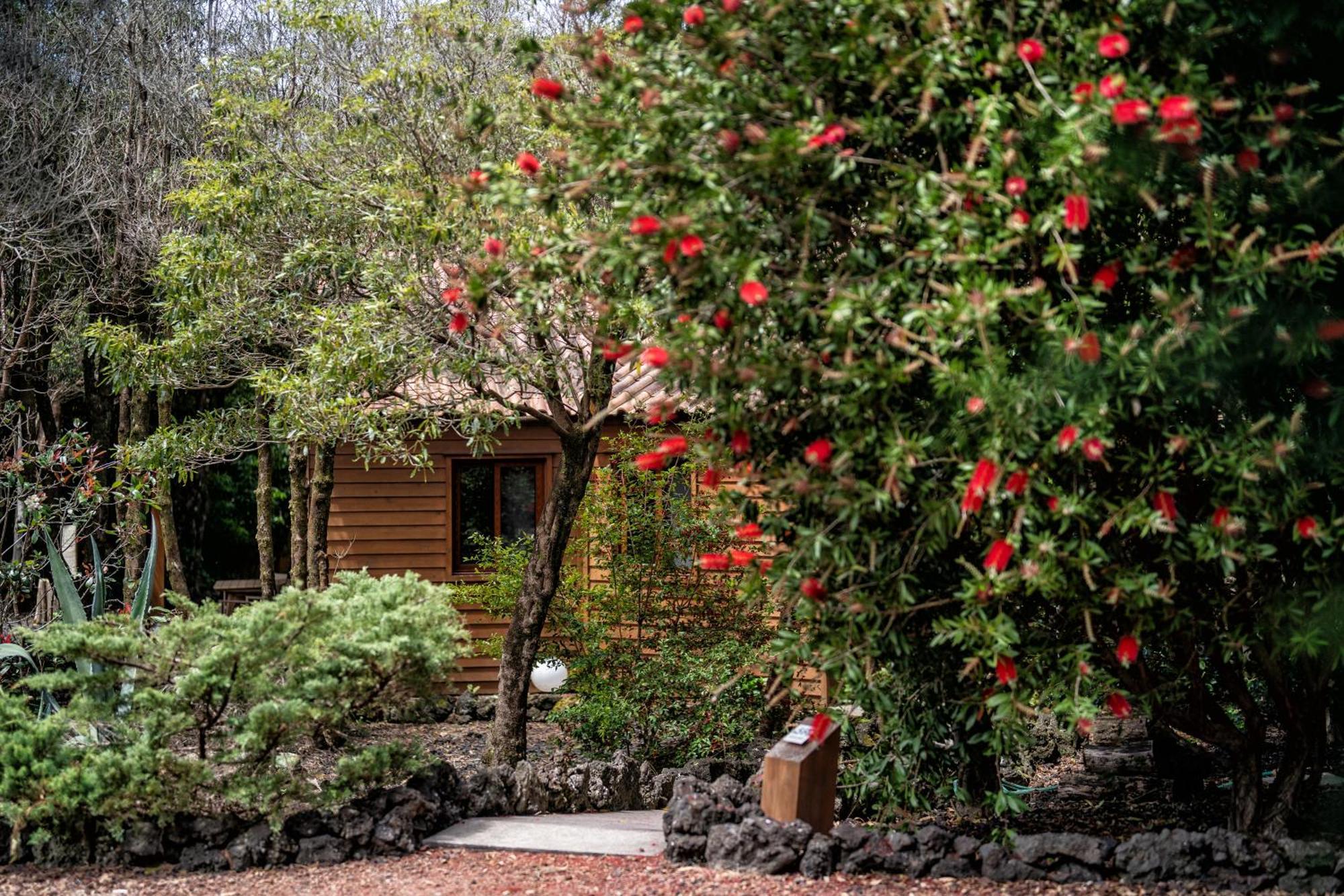 Alma Do Pico - Nature Aparthotel