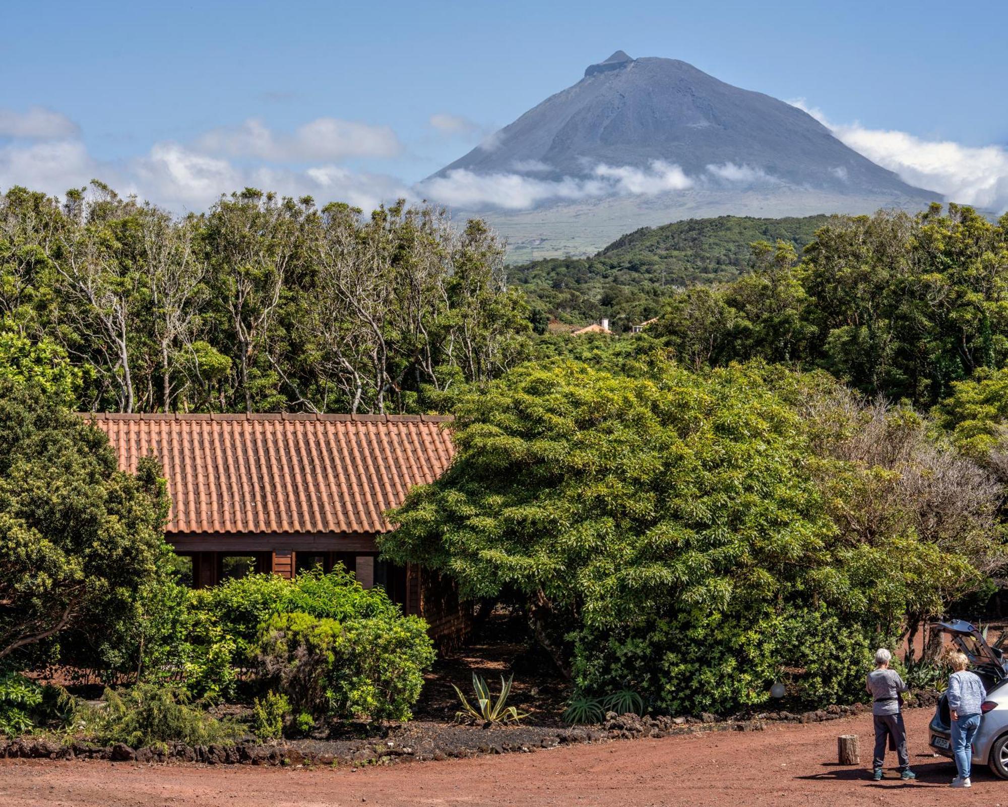Alma Do Pico - Nature