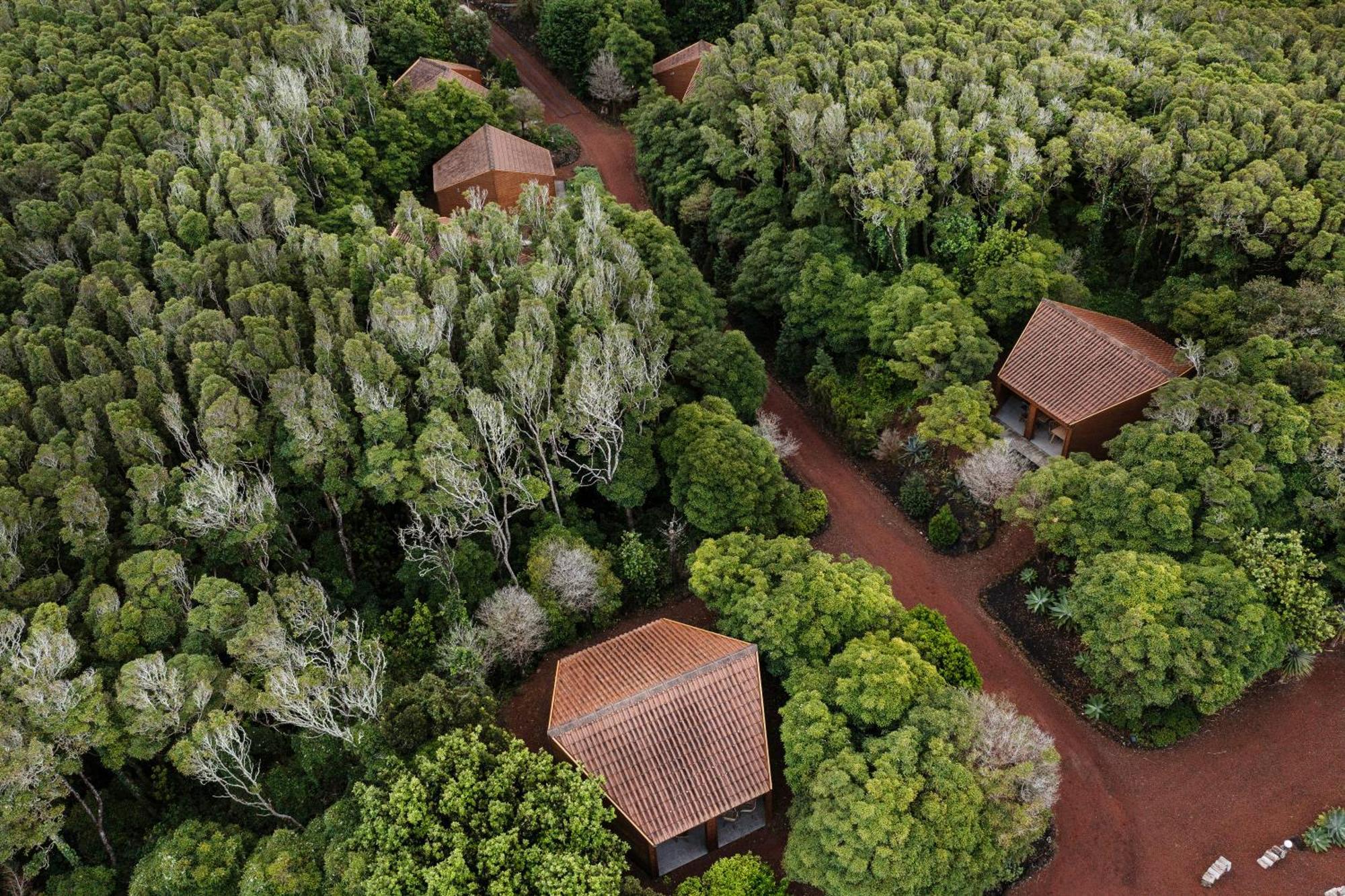 Aparthotel Alma Do Pico - Nature 2*