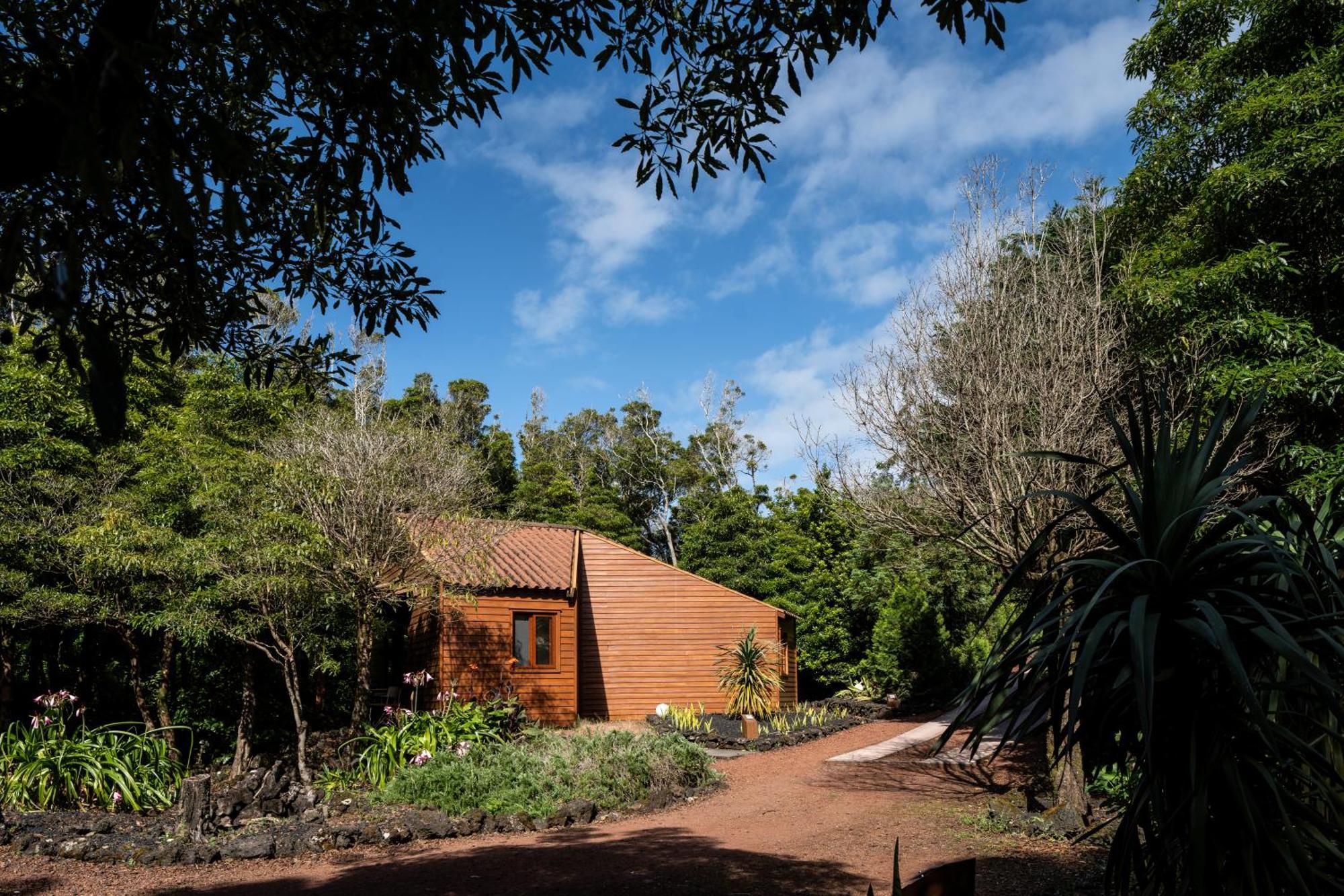 Alma Do Pico - Nature Aparthotel Madalena (Azores)