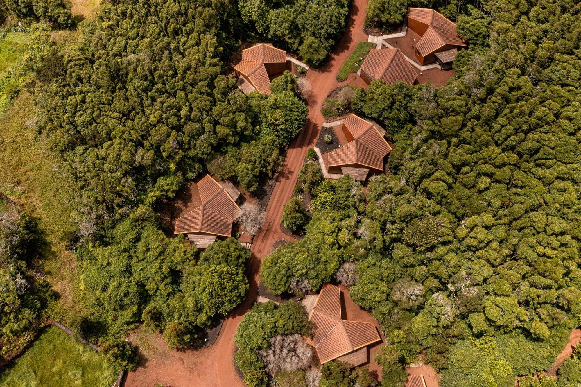 Alma Do Pico - Nature