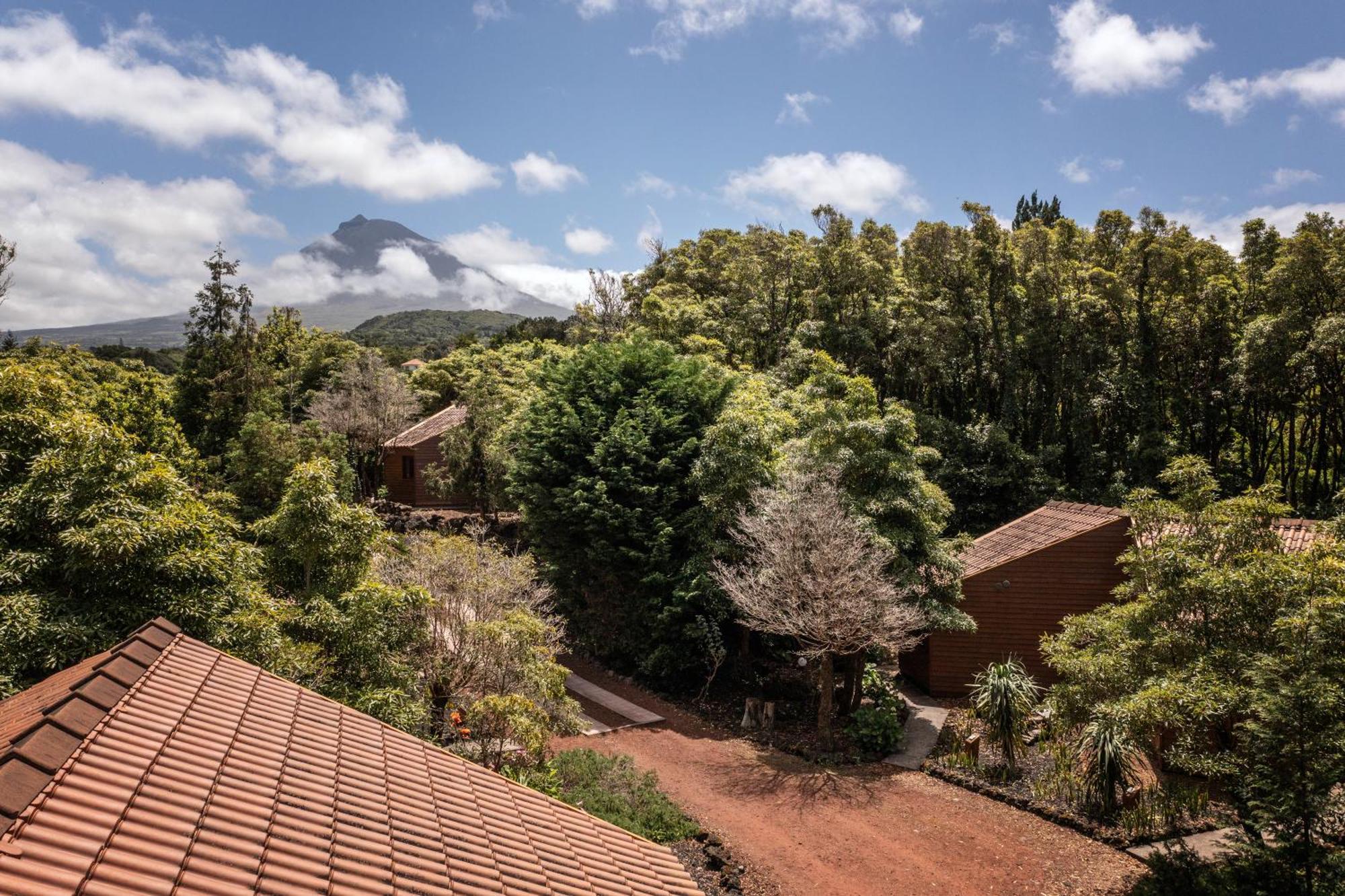 Aparthotel Alma Do Pico - Nature Madalena (Azores)