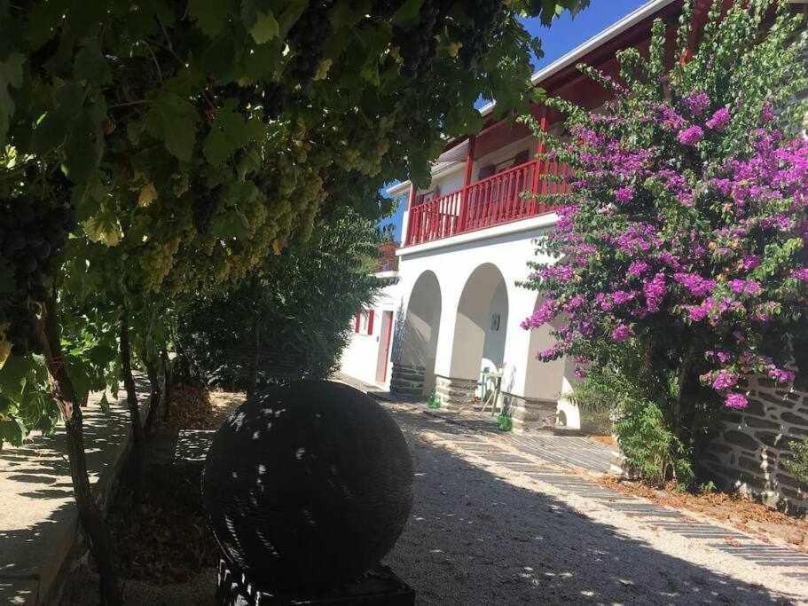 Farm stay Quinta Da *