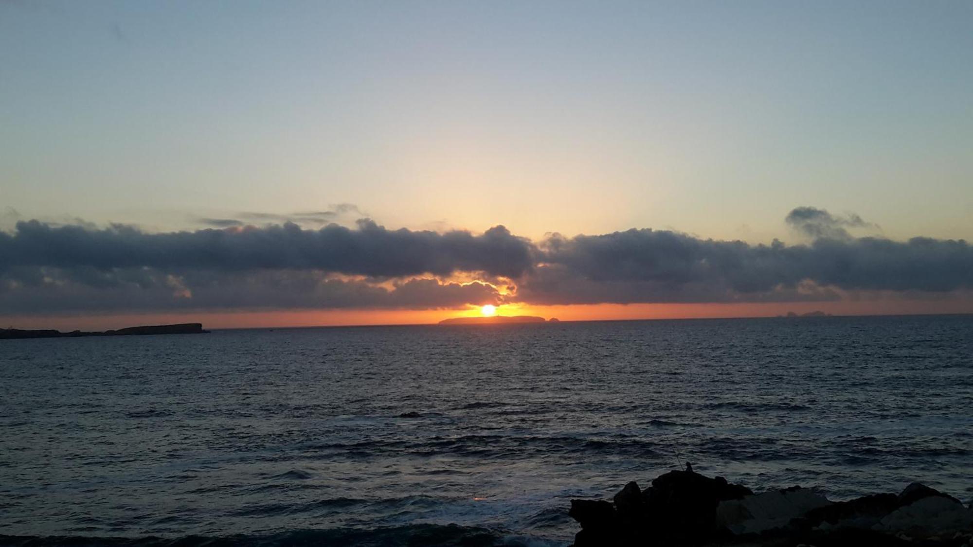 Bed and breakfast Pequena Baleia Ferrel (Leiria)